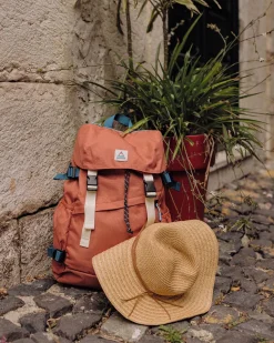 Floris van Bommel Surf Accessories|Surf Accessories><noscript><img width=