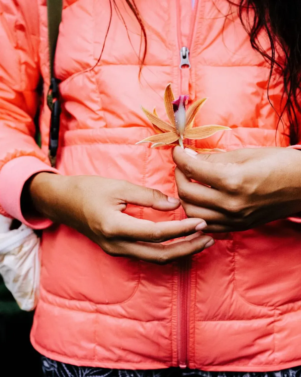 Passenger Water Resistant|Insulated>Lorelei Oversized Insulated Jacket Shell Pink