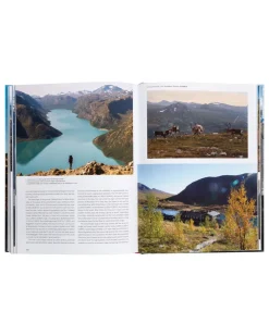 Floris van Bommel Books & Magazines|Books & Magazines><noscript><img width=